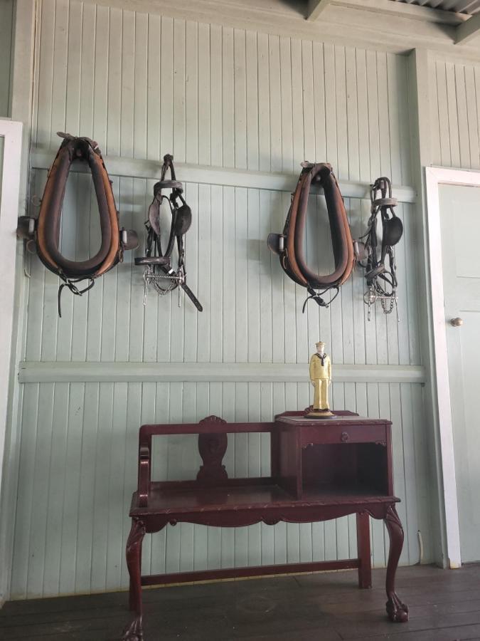 Amamoor阿马穆尔旅舍住宿加早餐旅馆 外观 照片
