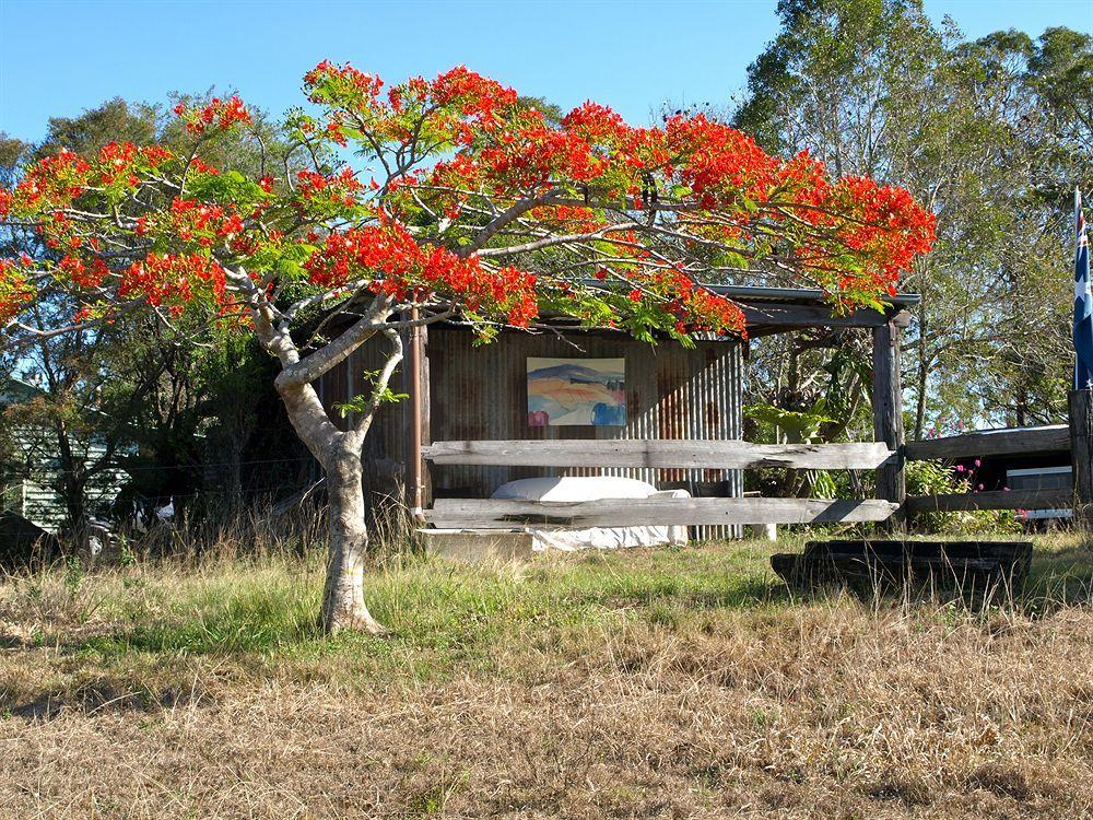 Amamoor阿马穆尔旅舍住宿加早餐旅馆 外观 照片